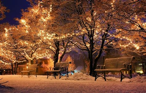 Family admiring Christmas lights